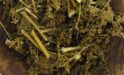 Sweet Wormwood 10g