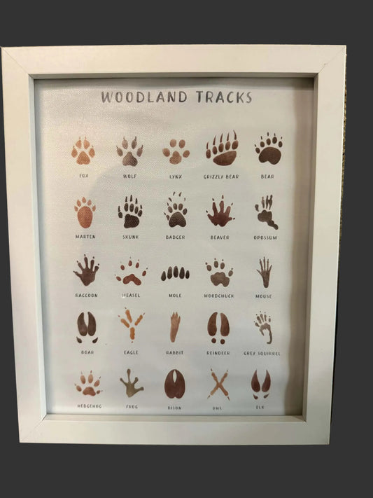 Framed Print Woodland Tracks