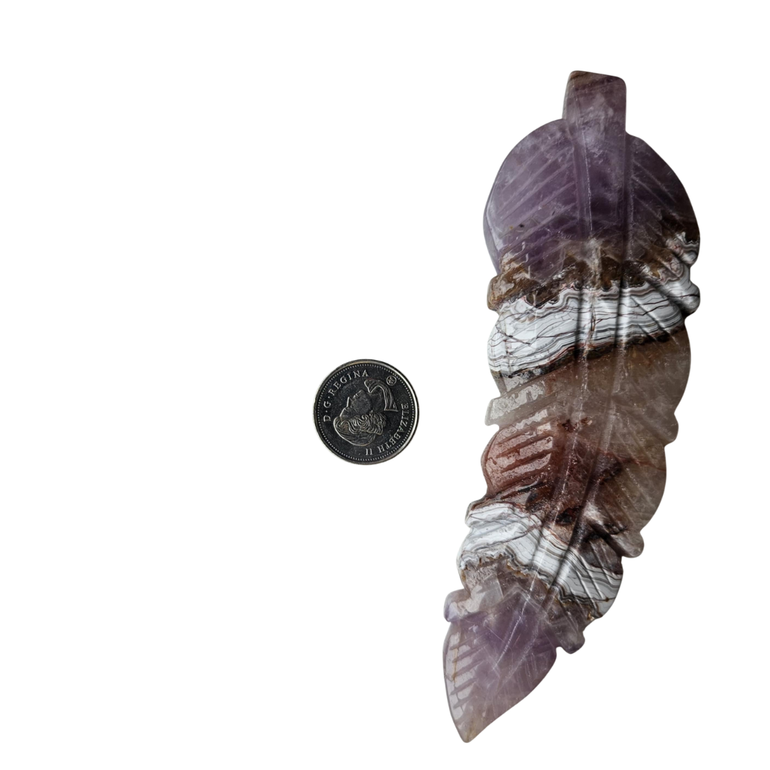 Amethyst Feather