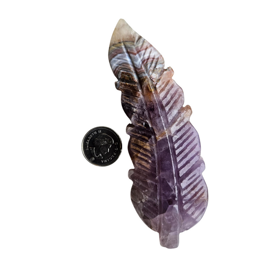 Amethyst Feather