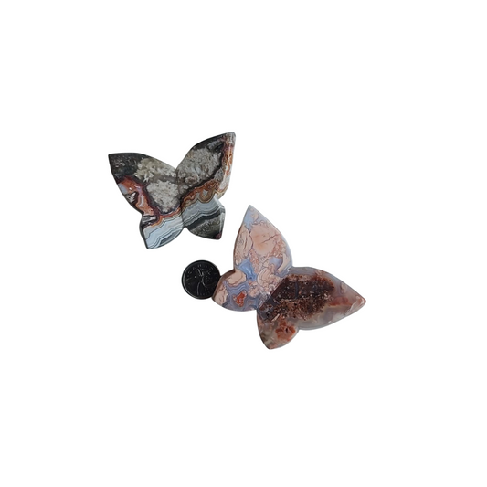 Crystal Butterfly