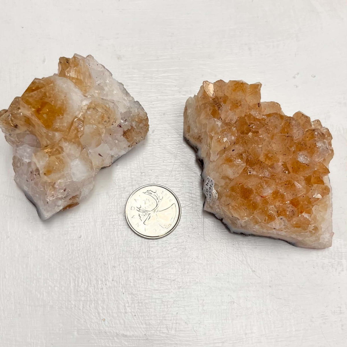 Citrine Clusters (HTA)