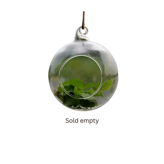 Glass Hanging Terrarium