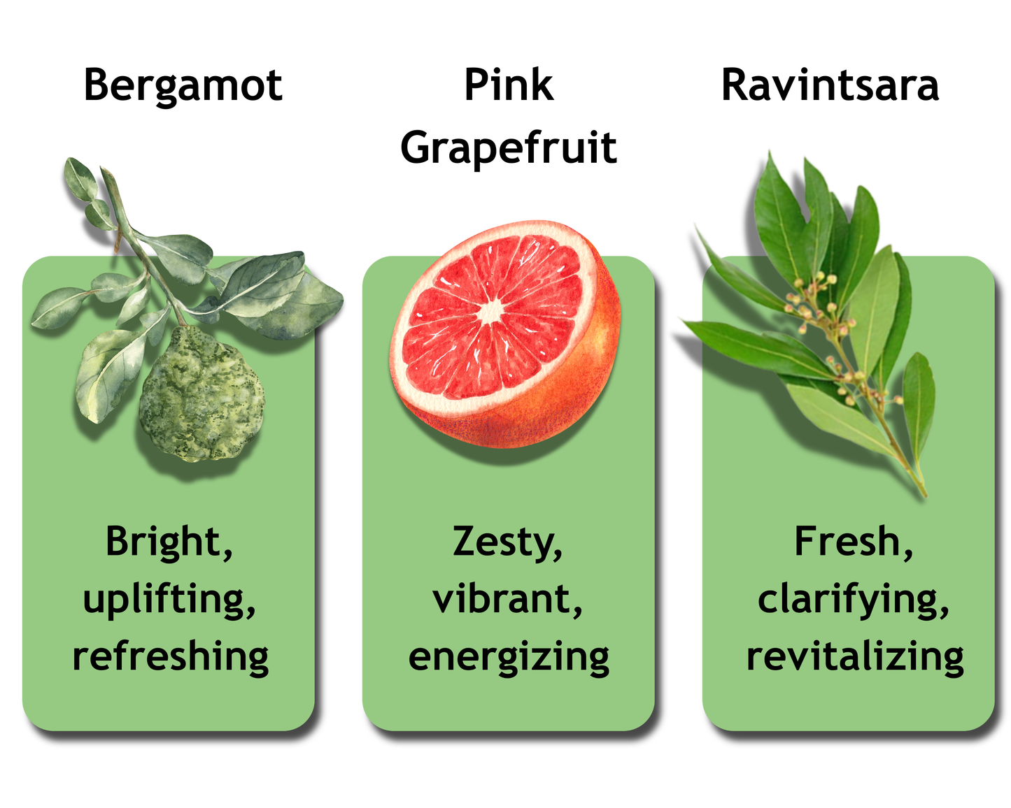 Essential Oil Bundle – Energy Boosting | 3 x 12ml