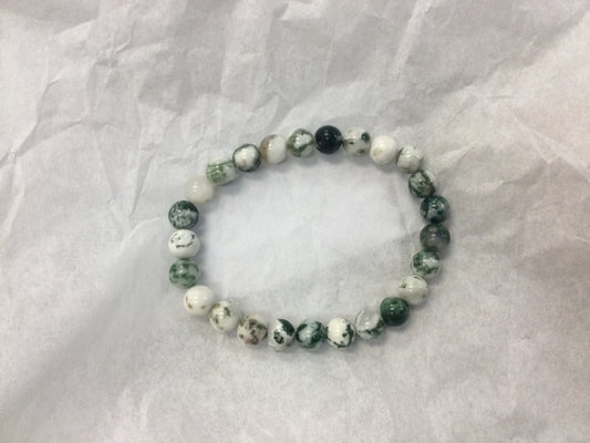 Tree Agate Bracelet 8mm