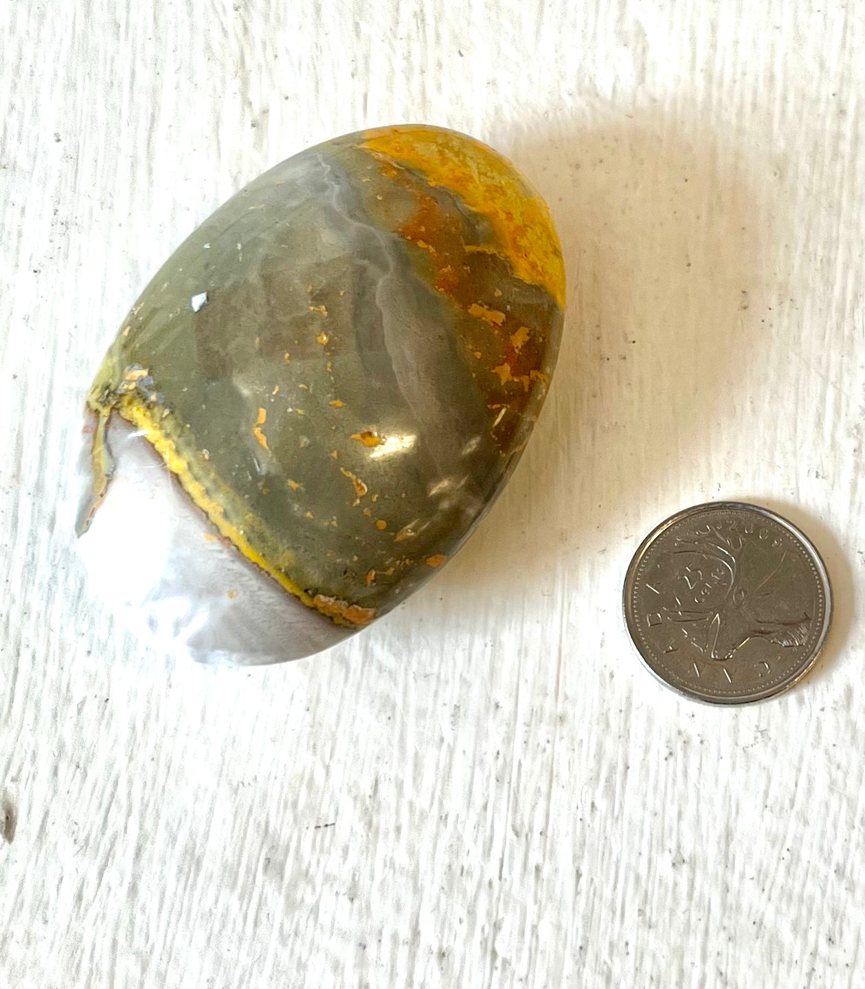 Bumblebee Jasper Palm Stone