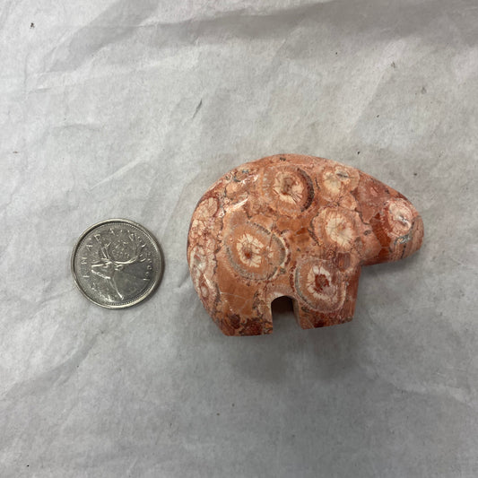 Poppy Jasper Bear