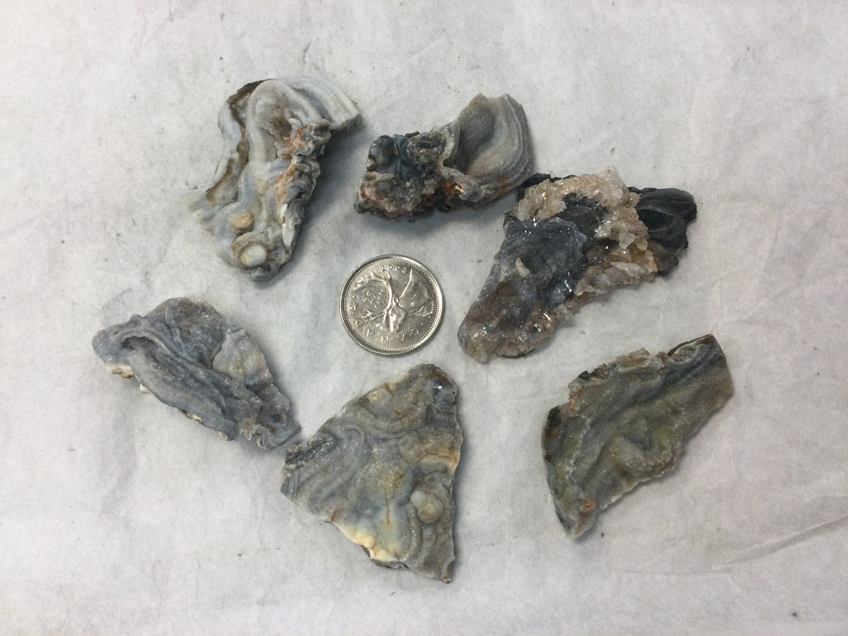 Agates Michigan Shell Natural Agate Shell – Planet Botanix Ottawa