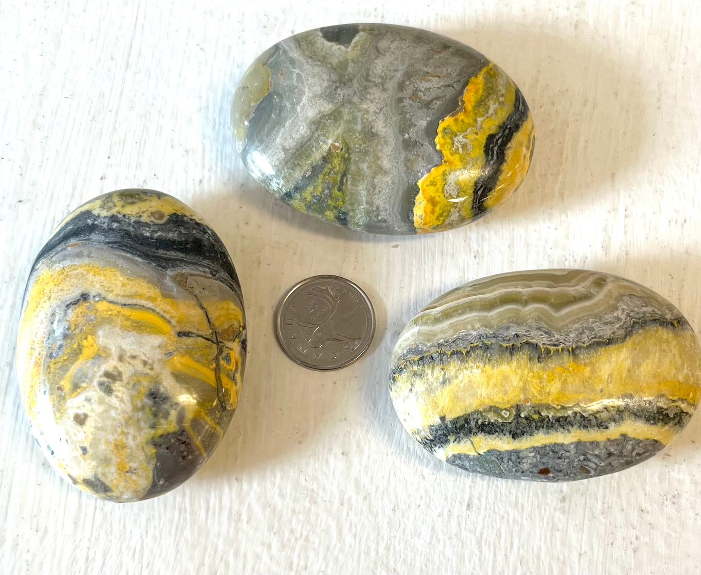 Bumblebee Jasper Palm Stone