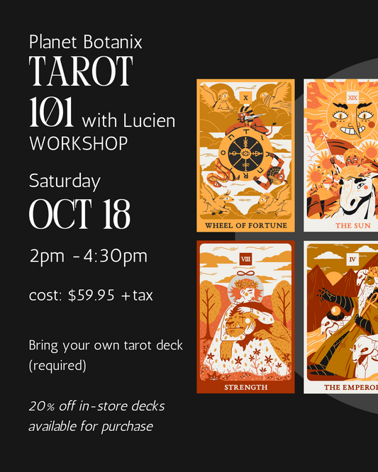 Tarot 101 Workshop / Lucien
