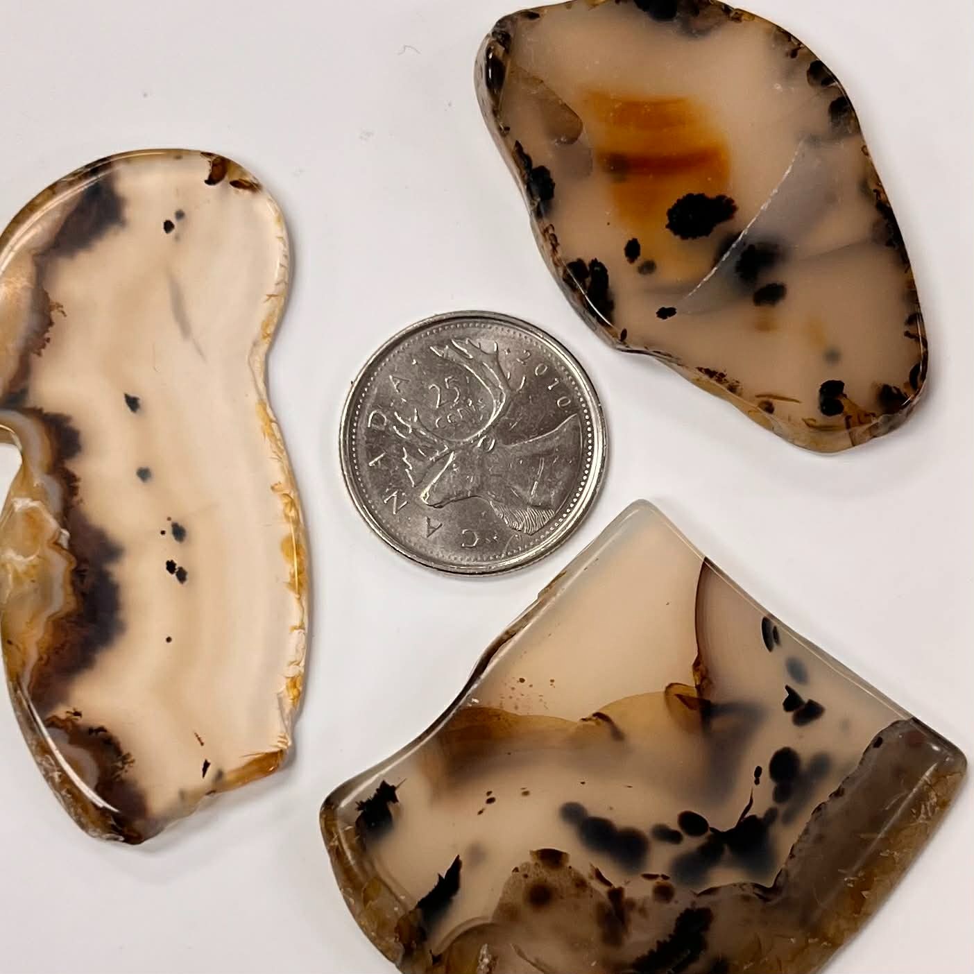 Montana Agate