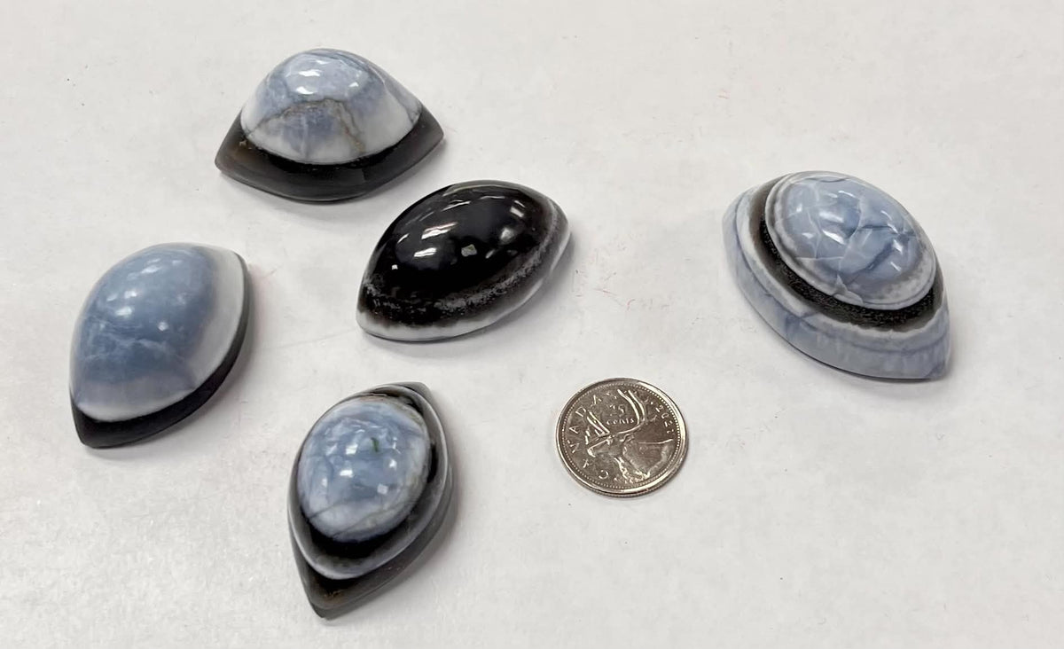Blue Opal Shiva Eyes