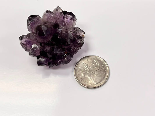 Amethyst "Rosettes"