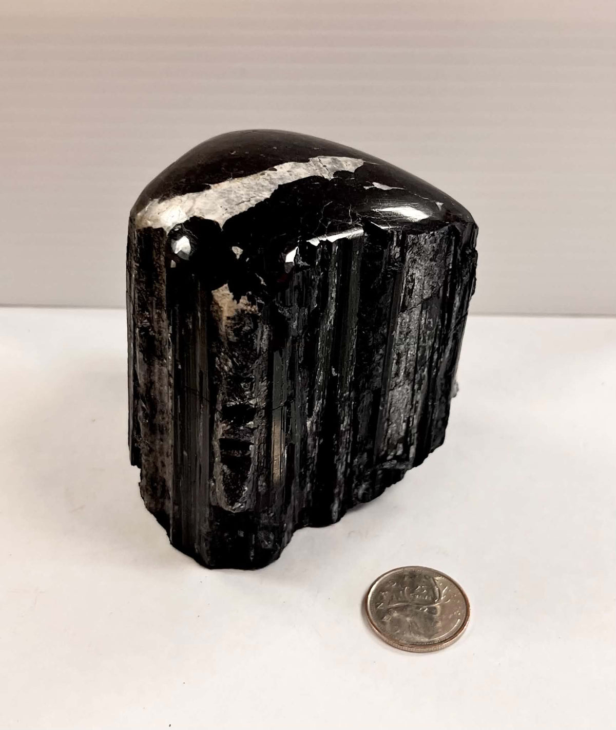 3.5" Semi-Polished Black Tourmaline w/ Quartz Inclusion 829g