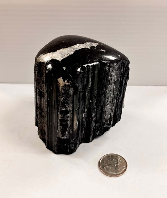 3.5" Semi-Polished Black Tourmaline w/ Quartz Inclusion 829g
