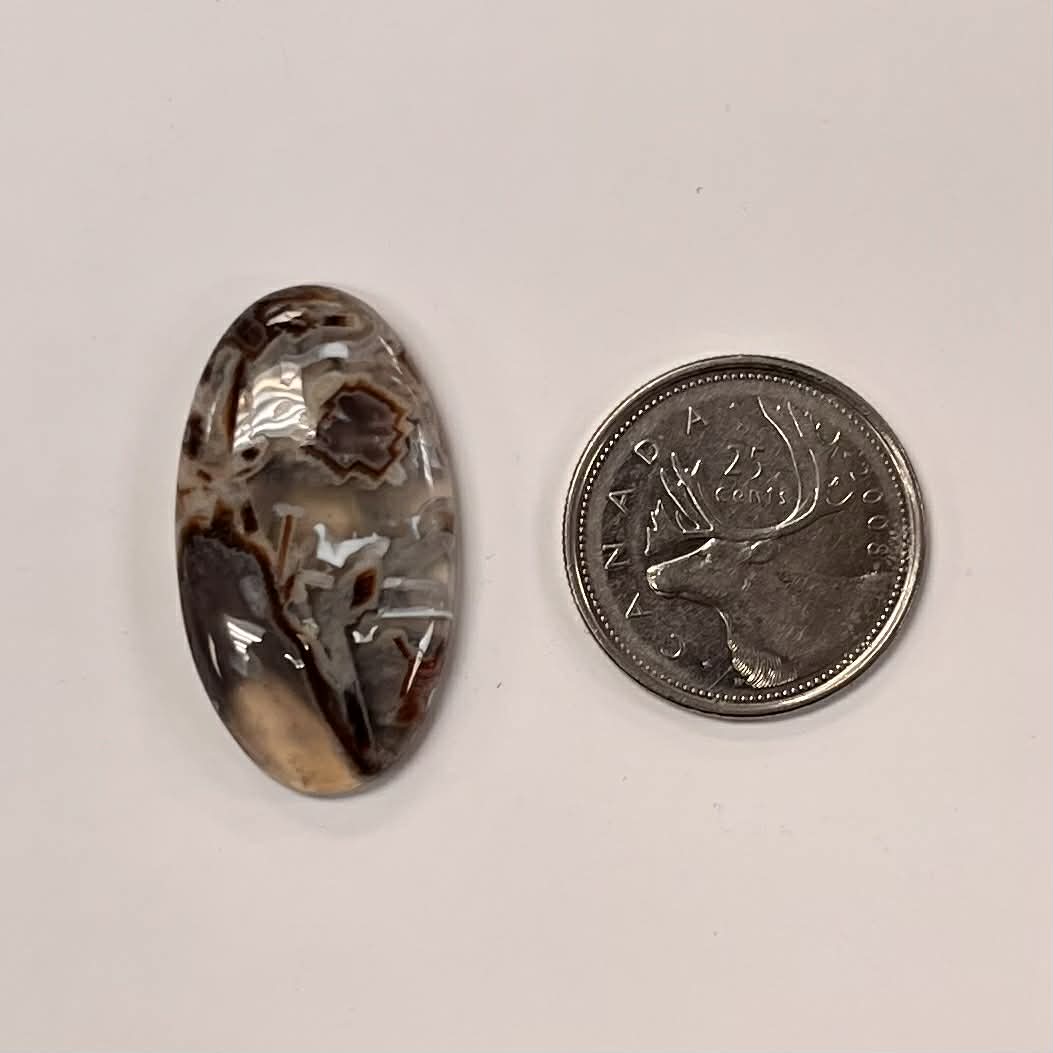 Assorted Agate / Chalcedony Cabochon