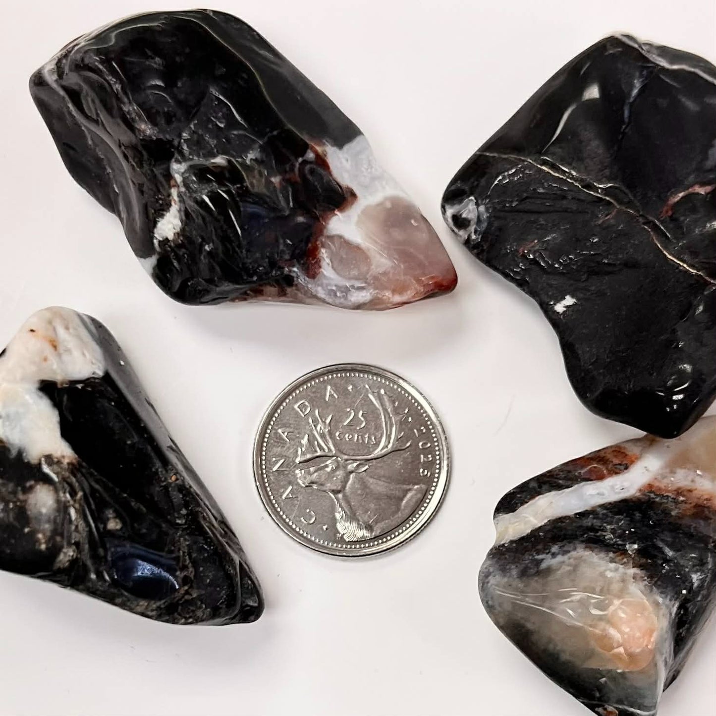 Zebra Agate Semi-Tumbled