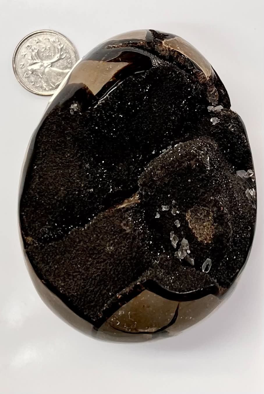 Septarian Egg 675g
