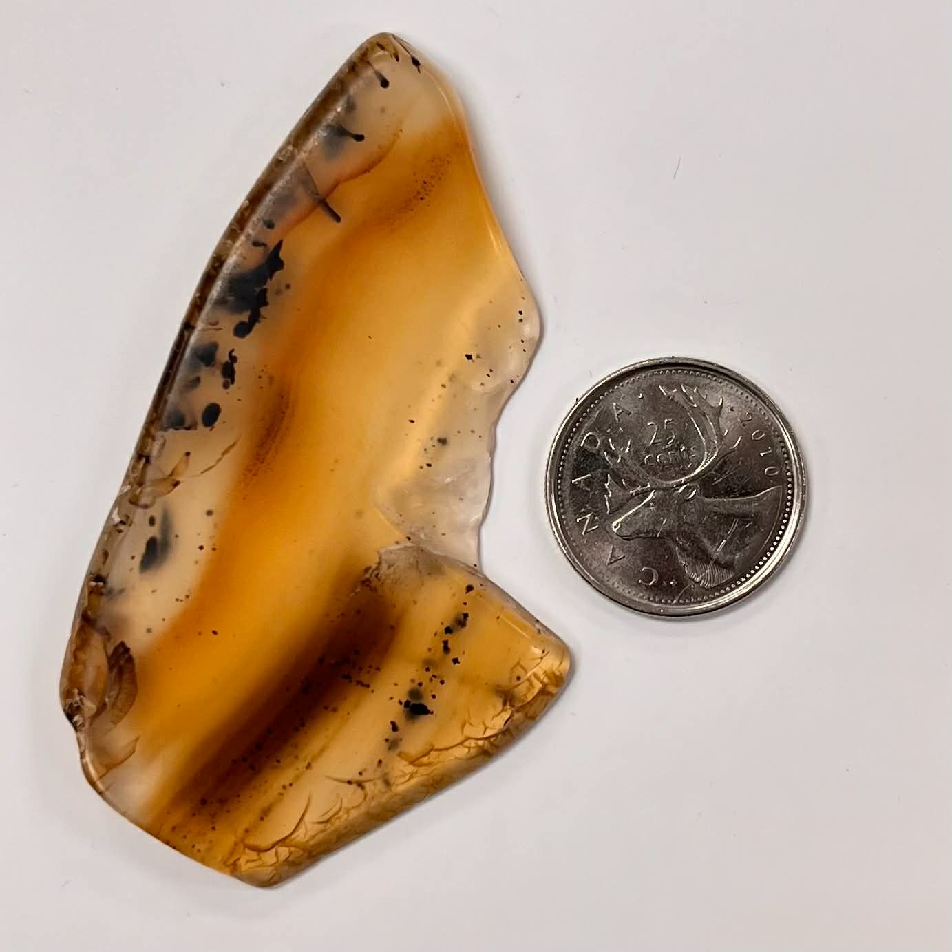 Montana Agate