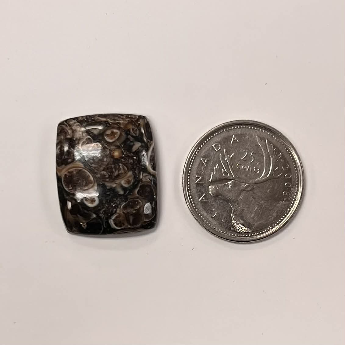 Assorted Agate / Chalcedony Cabochon