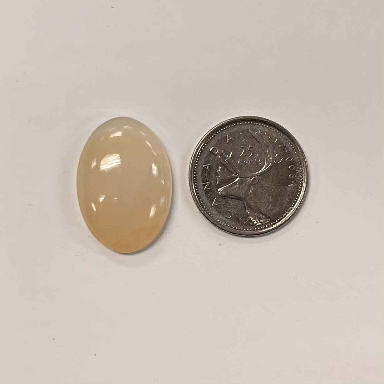 Assorted Agate / Chalcedony Cabochon