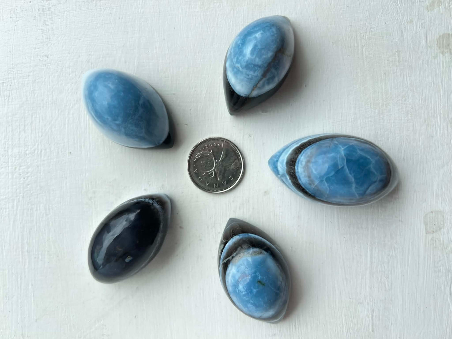 Blue Opal Shiva Eye