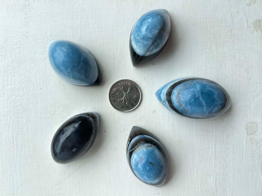 Blue Opal Shiva Eye