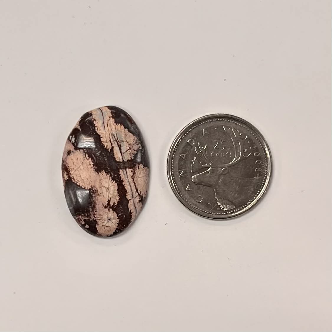 Assorted Agate / Chalcedony Cabochon