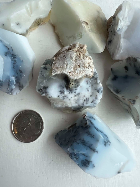 Rough Dendritic Opal  <80g