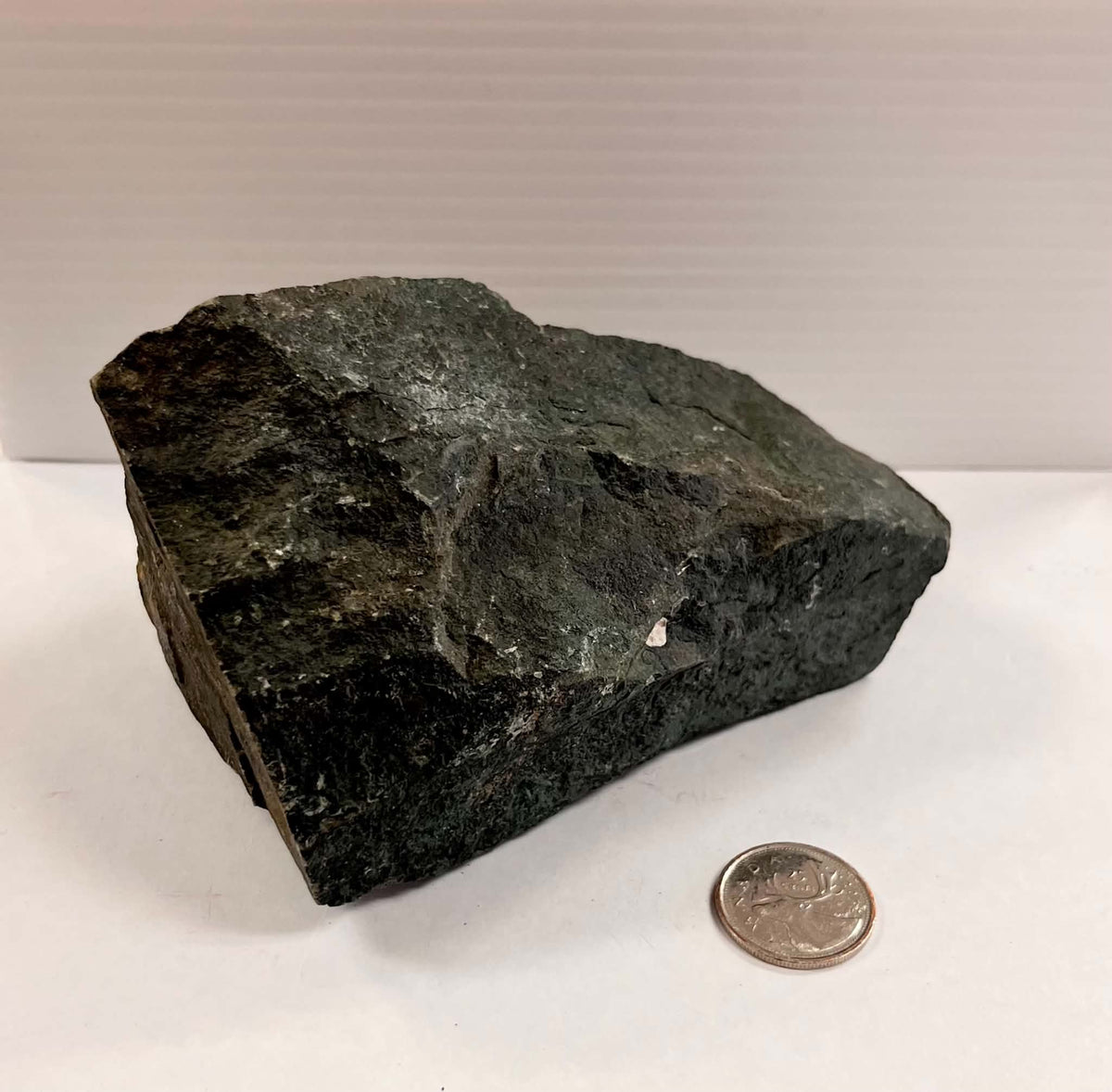 Rough Greenschist (Ontario) 950g