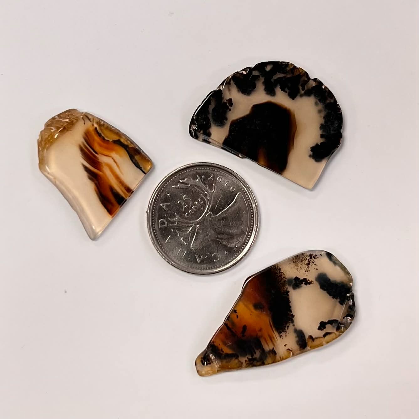 Montana Agate