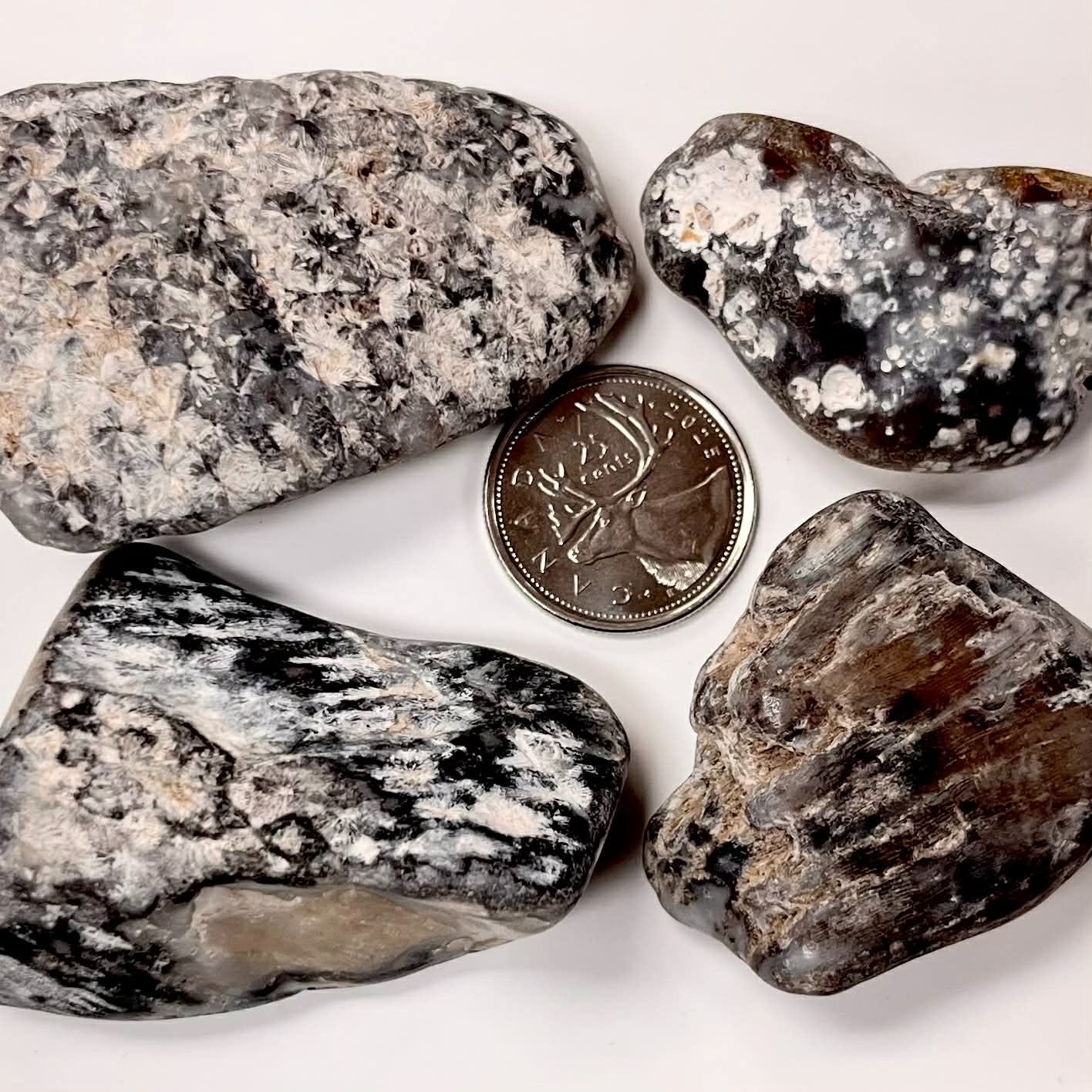 Suwannee River Agate