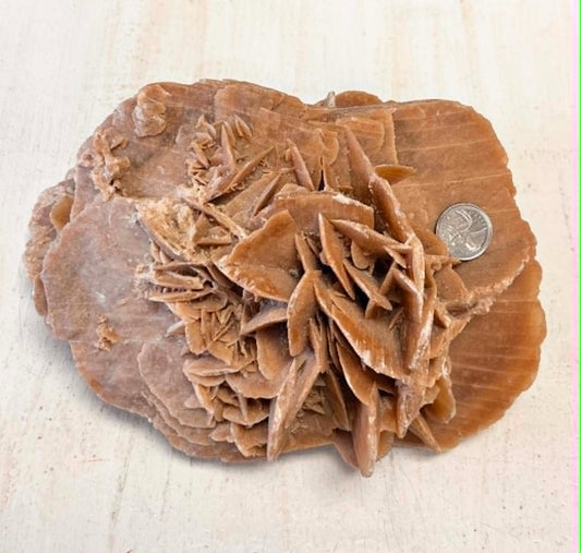 Large Desert Rose - 3 kg
