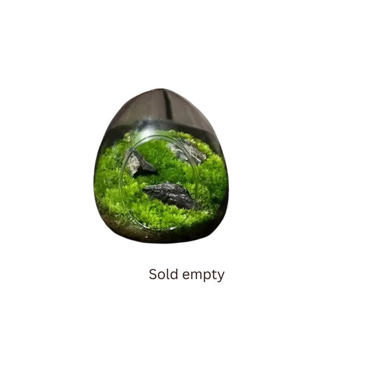 Egg Shaped Terrarium