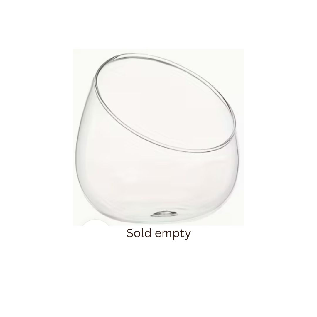 Bevelled Glass Terrarium