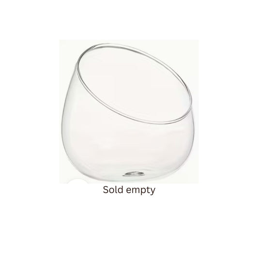 Bevelled Glass Terrarium