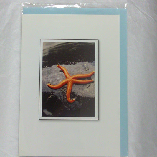 Vigo Production Greeting Cards - Starfish
