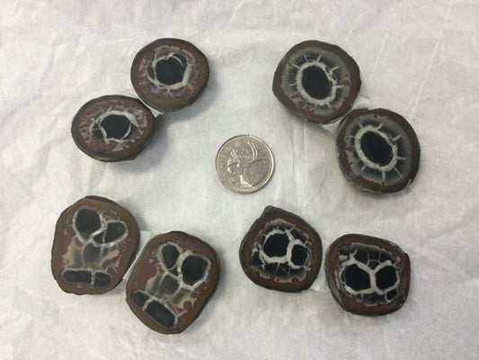 Septarian Nodule Pairs