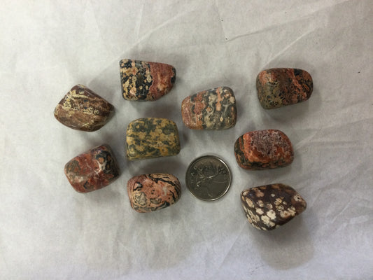 Leopard Skin Jasper Tumbled