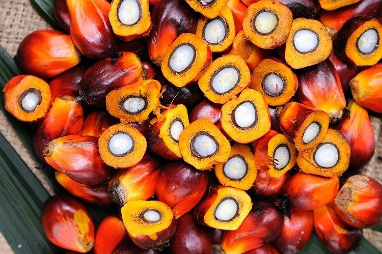 Palm Oil, 2kg