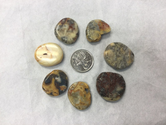 crazy lace agate small coin