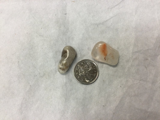 angel phantom quatrz