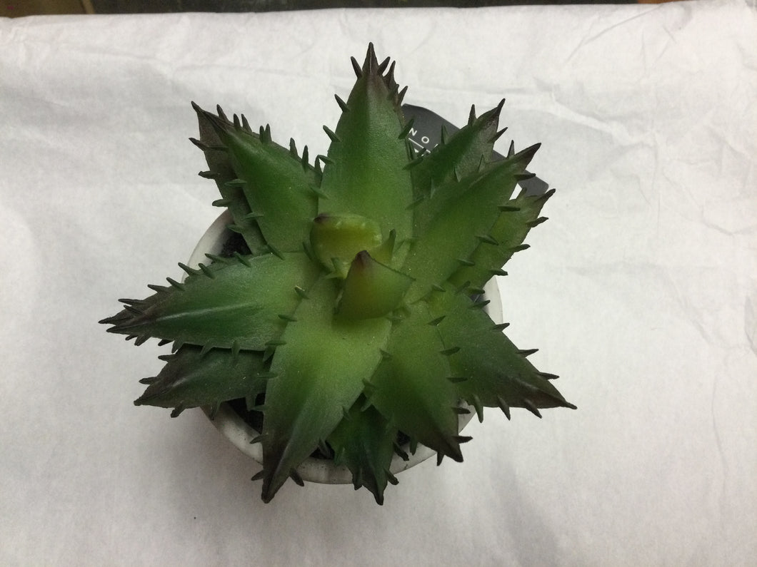 Artificial Plant, cactus