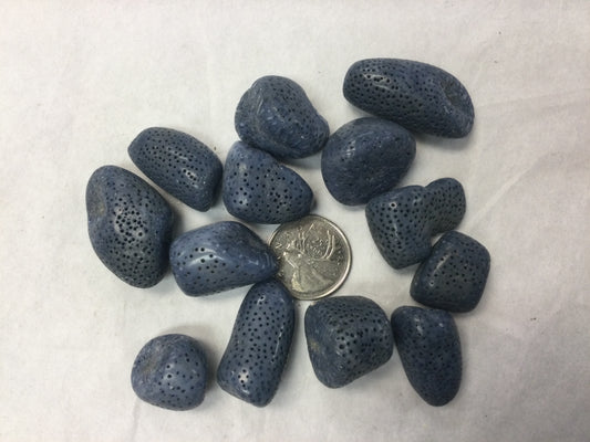 Blue Coral tumbled