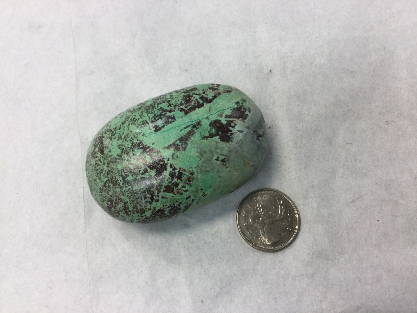 Turquoise Palm Stone, lg