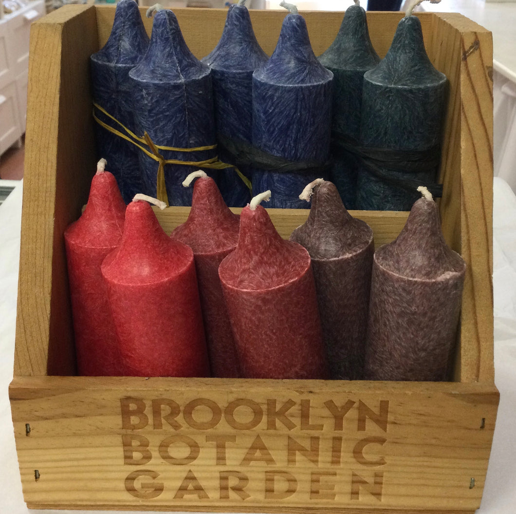 Palm Punch Candle Set of Two with Narrow Base