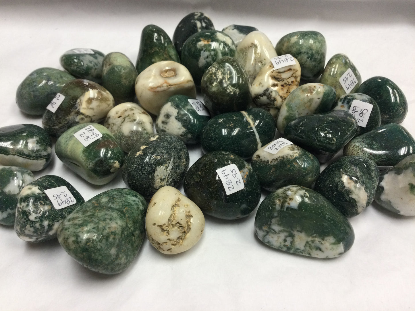 Tumbled Tree Agate