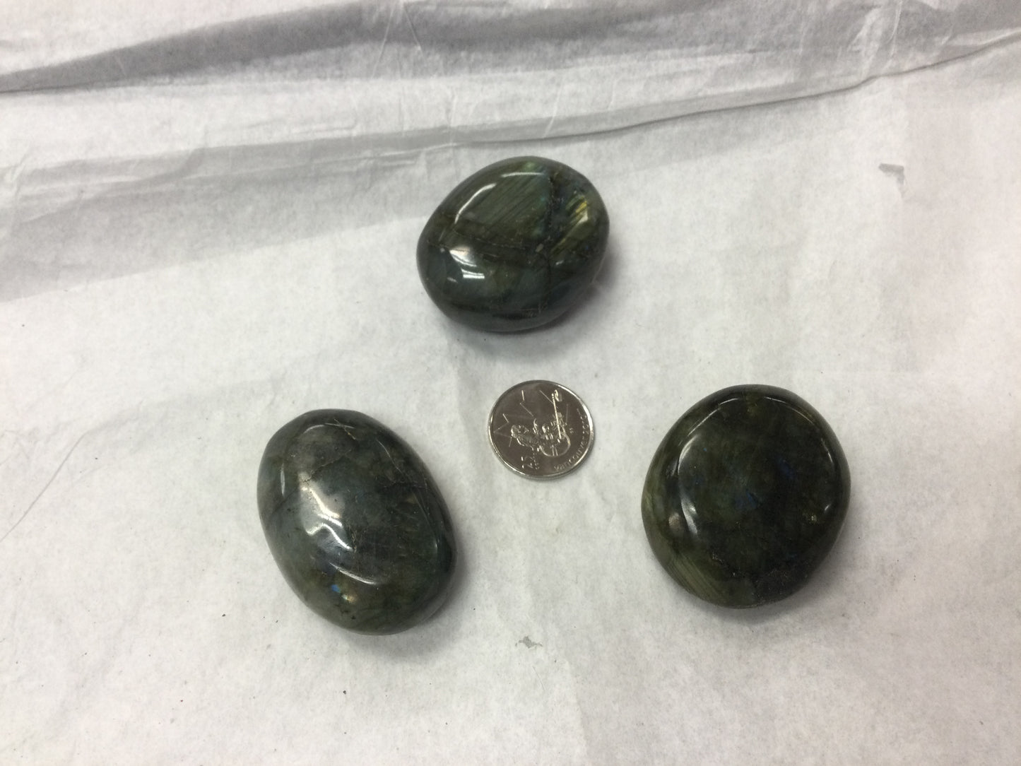 Labradorite - Tumbled Palm