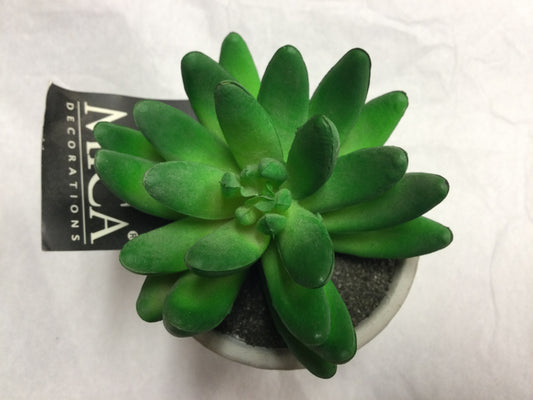 Artificial plant, sedum