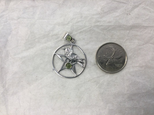 Raven Gemstone Pentagram Pendant